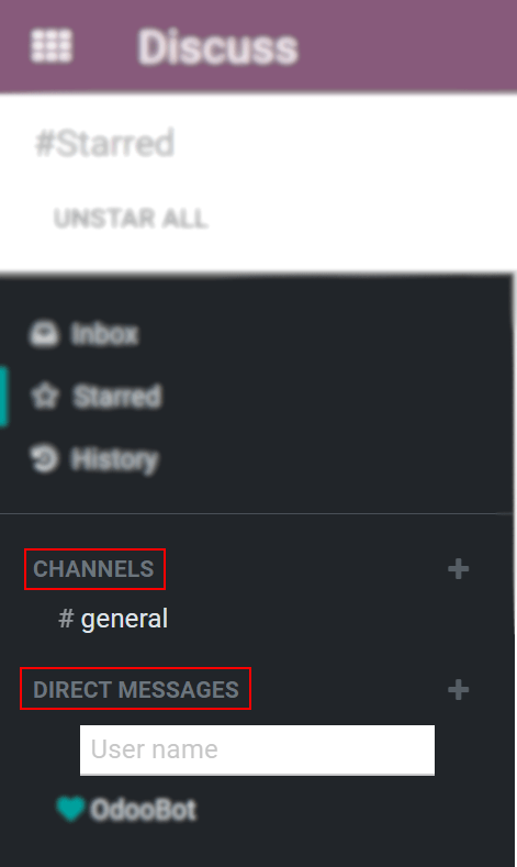 View of discuss’s panel emphasizing the titles channels and direct messages in Odoo Discuss