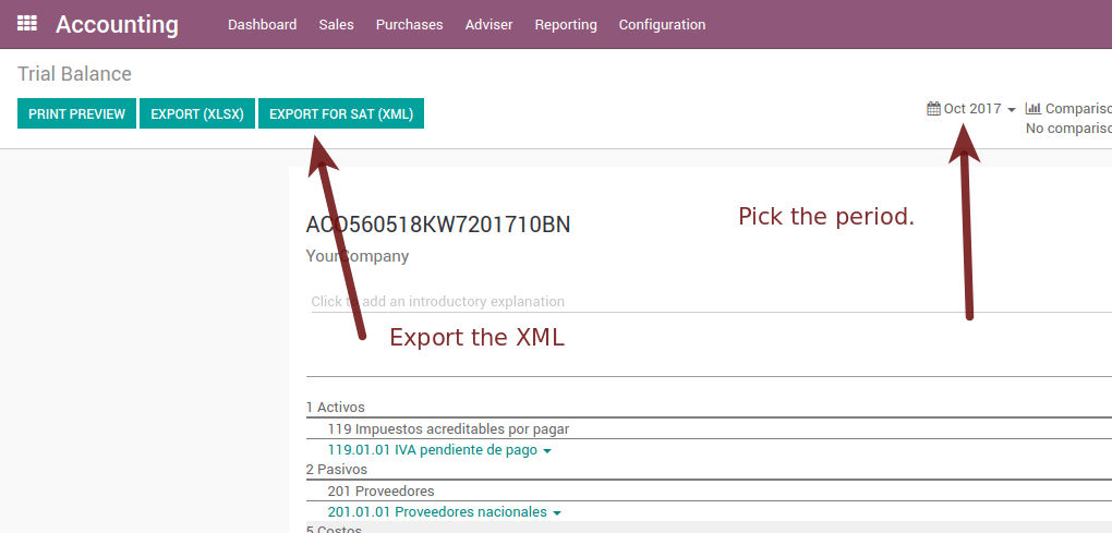 Electronic verification balance