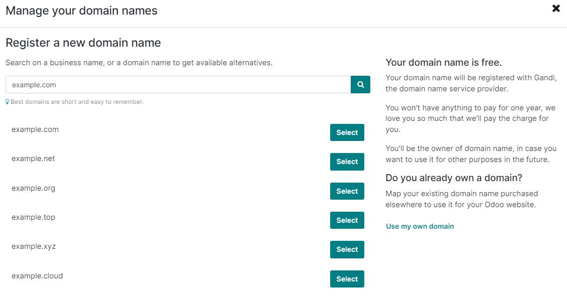 The search of the domain name example.com shows which associated domains are available.